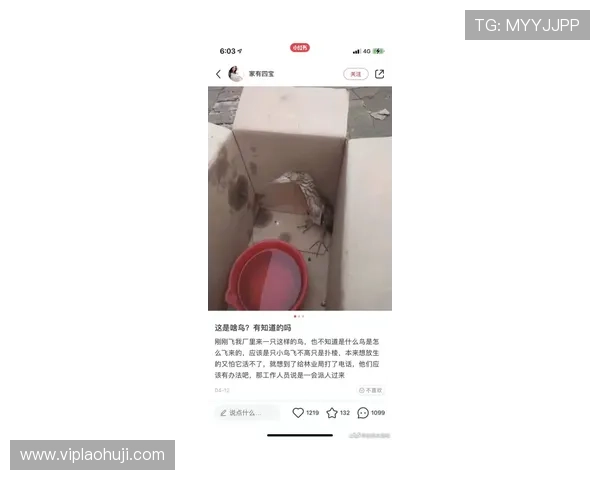 云顶老虎机有几个网站的用户评价与平台信誉度分析报告